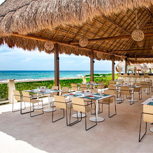 300x300ParadisusCancundining