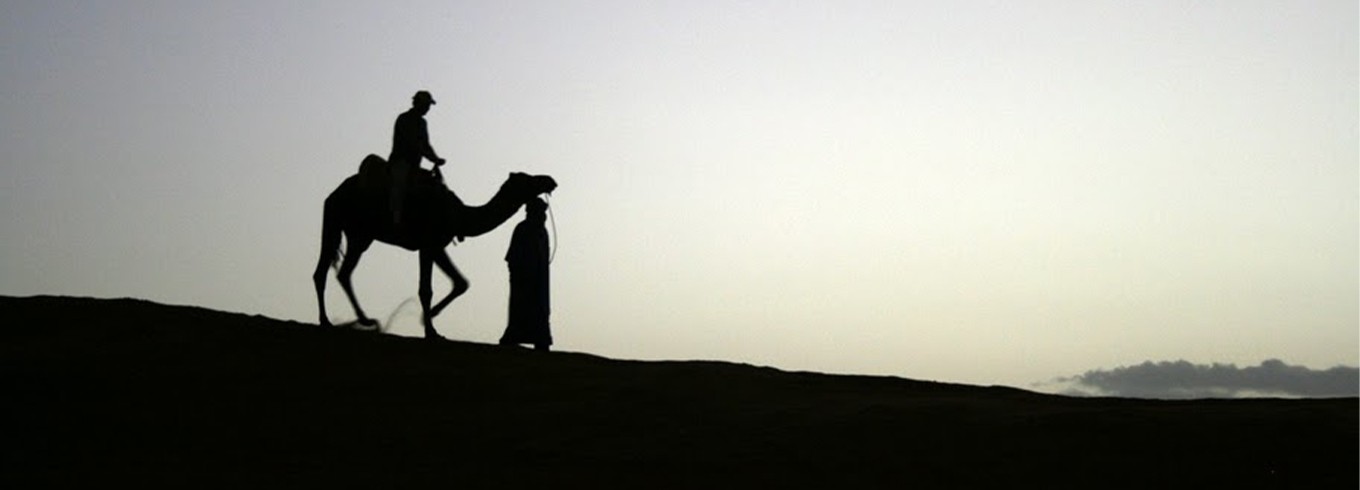 What's Included. What's Incredible.